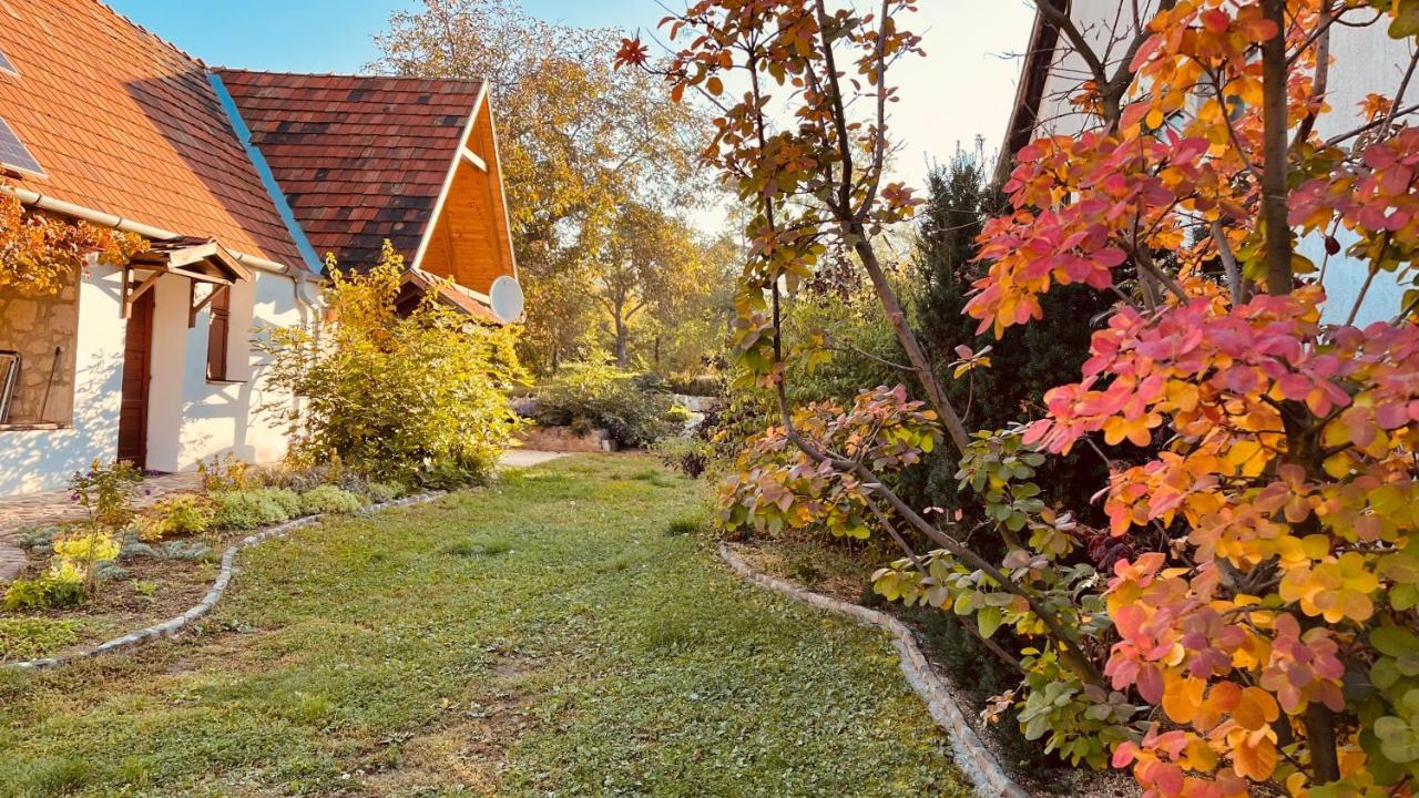 Vitamin B63 Vendégház Boldogkovaralja Exterior foto
