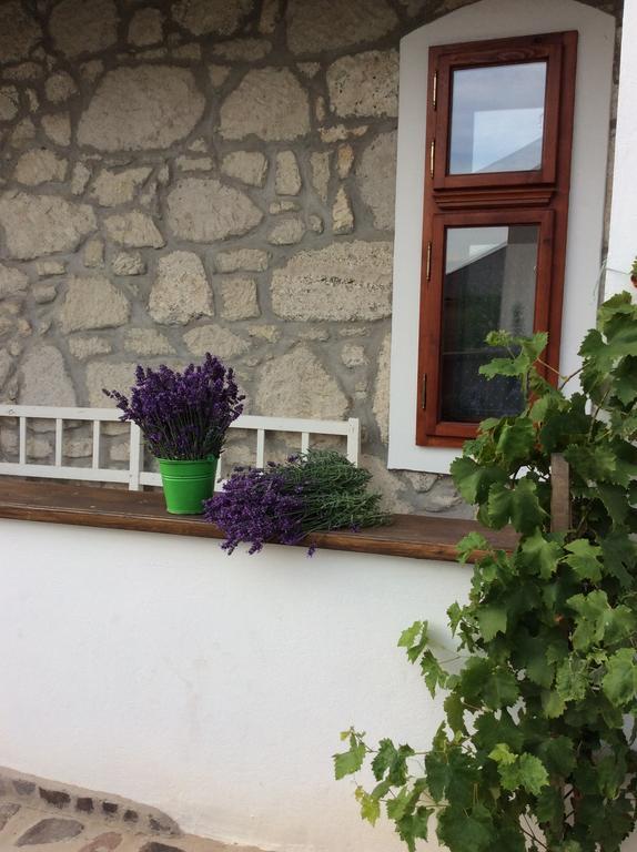 Vitamin B63 Vendégház Boldogkovaralja Exterior foto