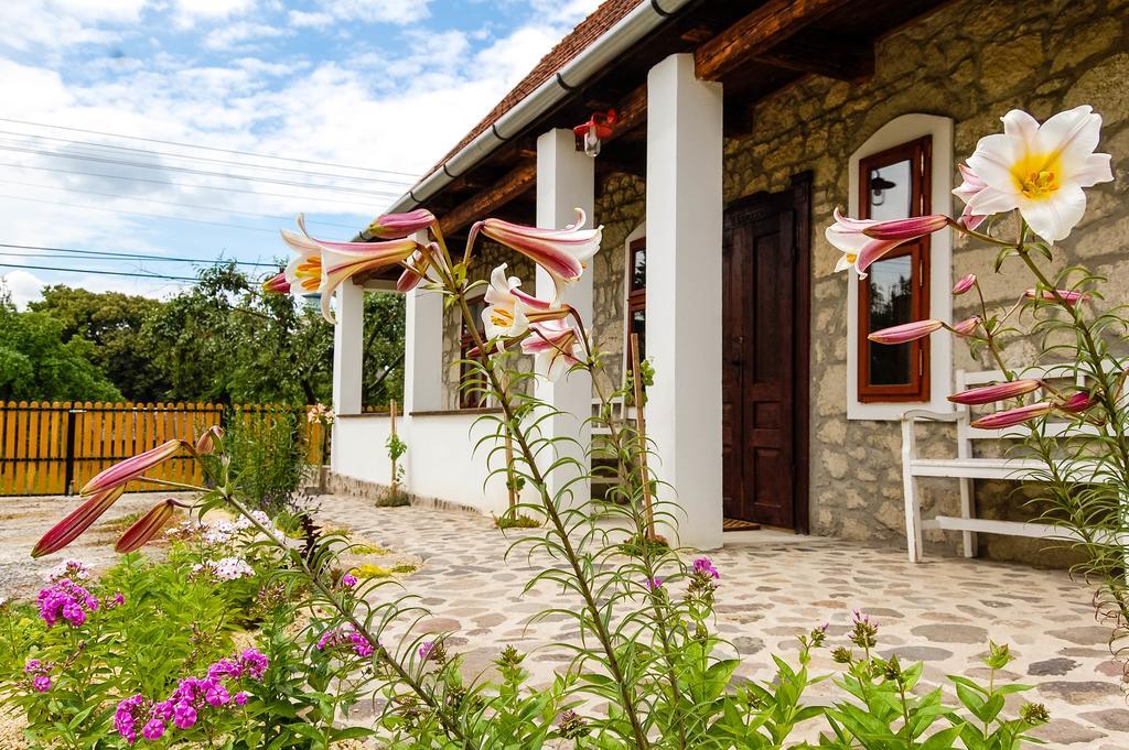 Vitamin B63 Vendégház Boldogkovaralja Exterior foto