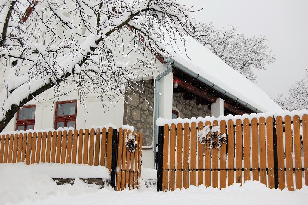 Vitamin B63 Vendégház Boldogkovaralja Exterior foto