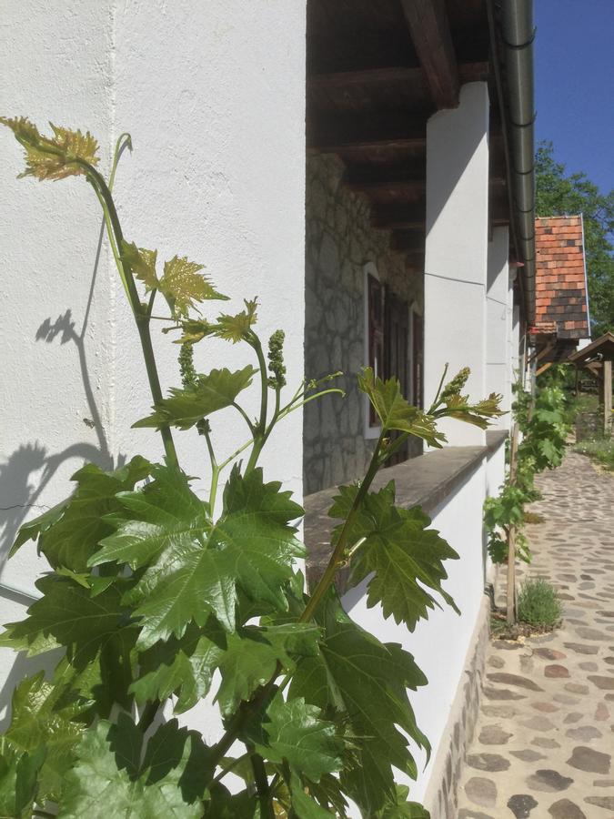 Vitamin B63 Vendégház Boldogkovaralja Exterior foto
